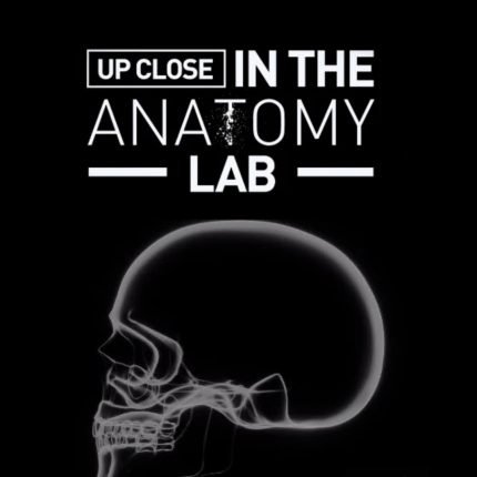 Professor Cotofana Anatomy review